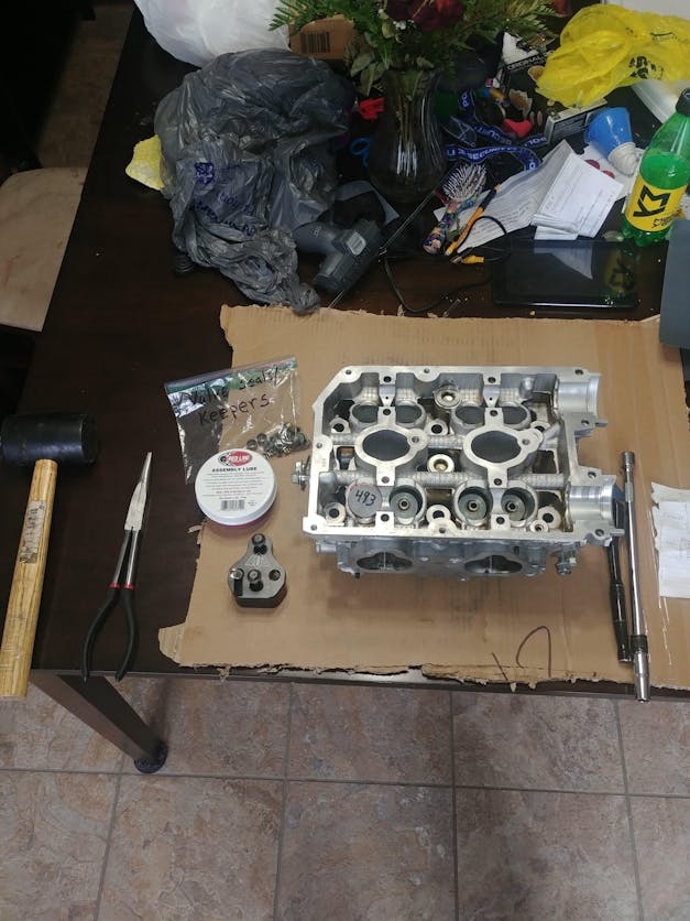 OEM Subaru Valve Stem Seal Set 2002-2014 WRX/2004-2020 STI