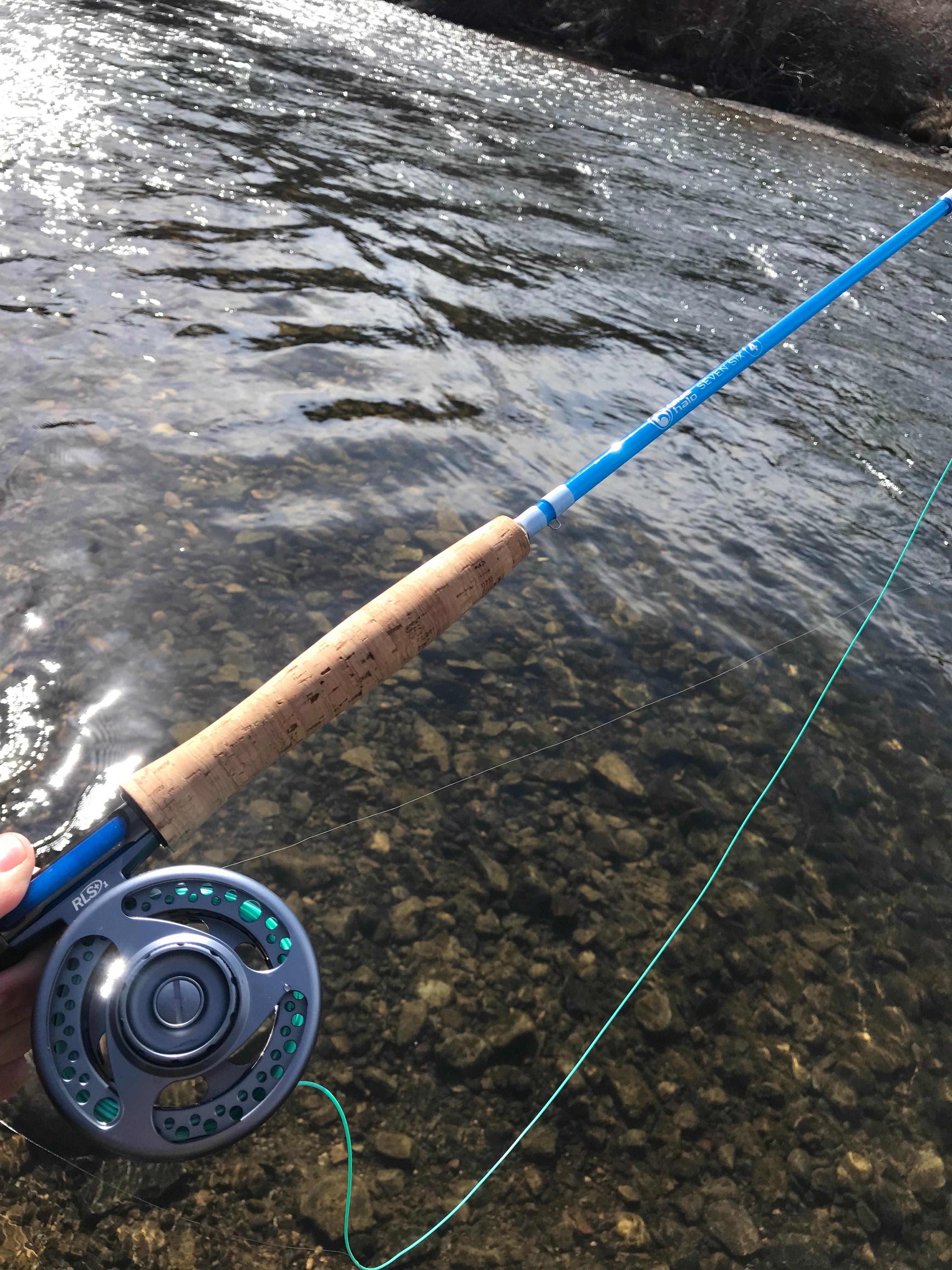 blue halo rods